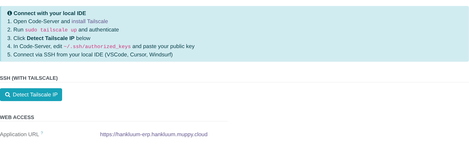 The Access tab before Tailscale is detected: the five steps and the Detect Tailscale IP button