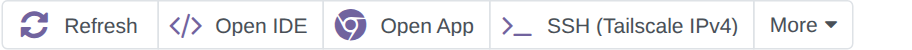 The button box of an App Server: Refresh, Open IDE, Open App and SSH (Tailscale IPv4)