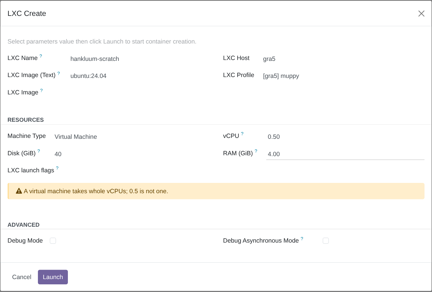 A virtual machine asked for half a vCPU: the flags are empty and the wizard warns