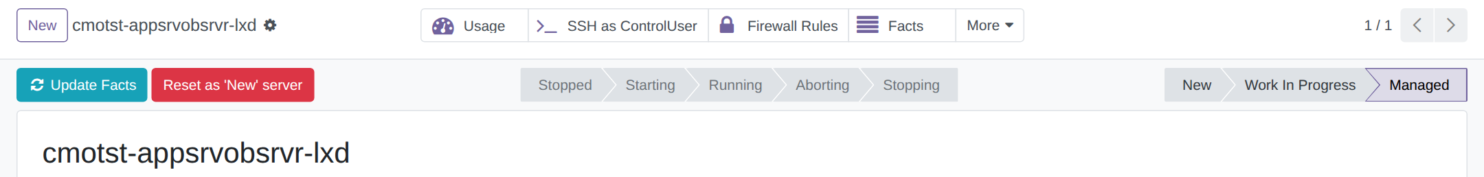 The Host form of an LXD App Server, with the Usage button first in its button box