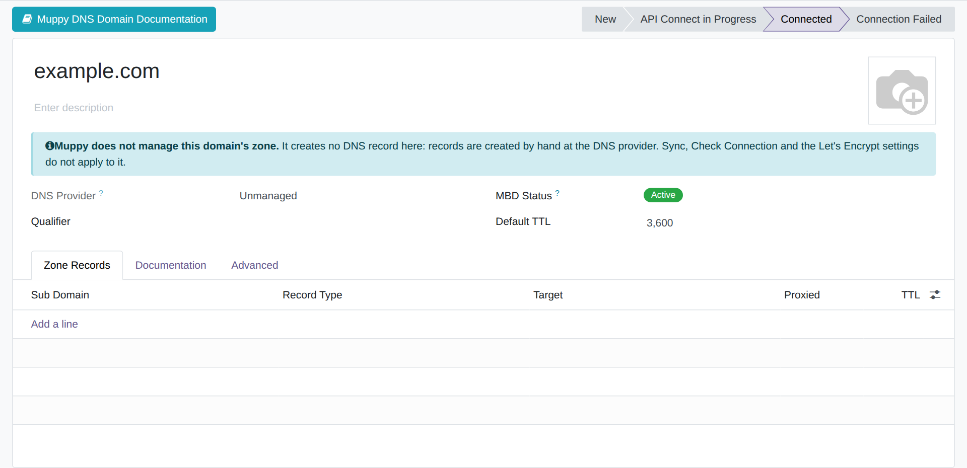 The form of an Unmanaged domain: the banner, the DNS Provider set to Unmanaged, and no Sync or Check Connection button.