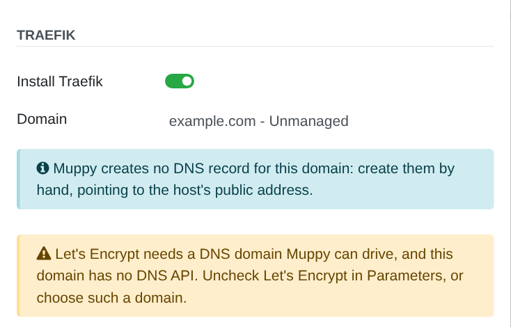 The Traefik group of the Install LXD App. Server wizard on the Unmanaged domain example.com: the info alert about DNS records, and the warning that refuses Let's Encrypt.