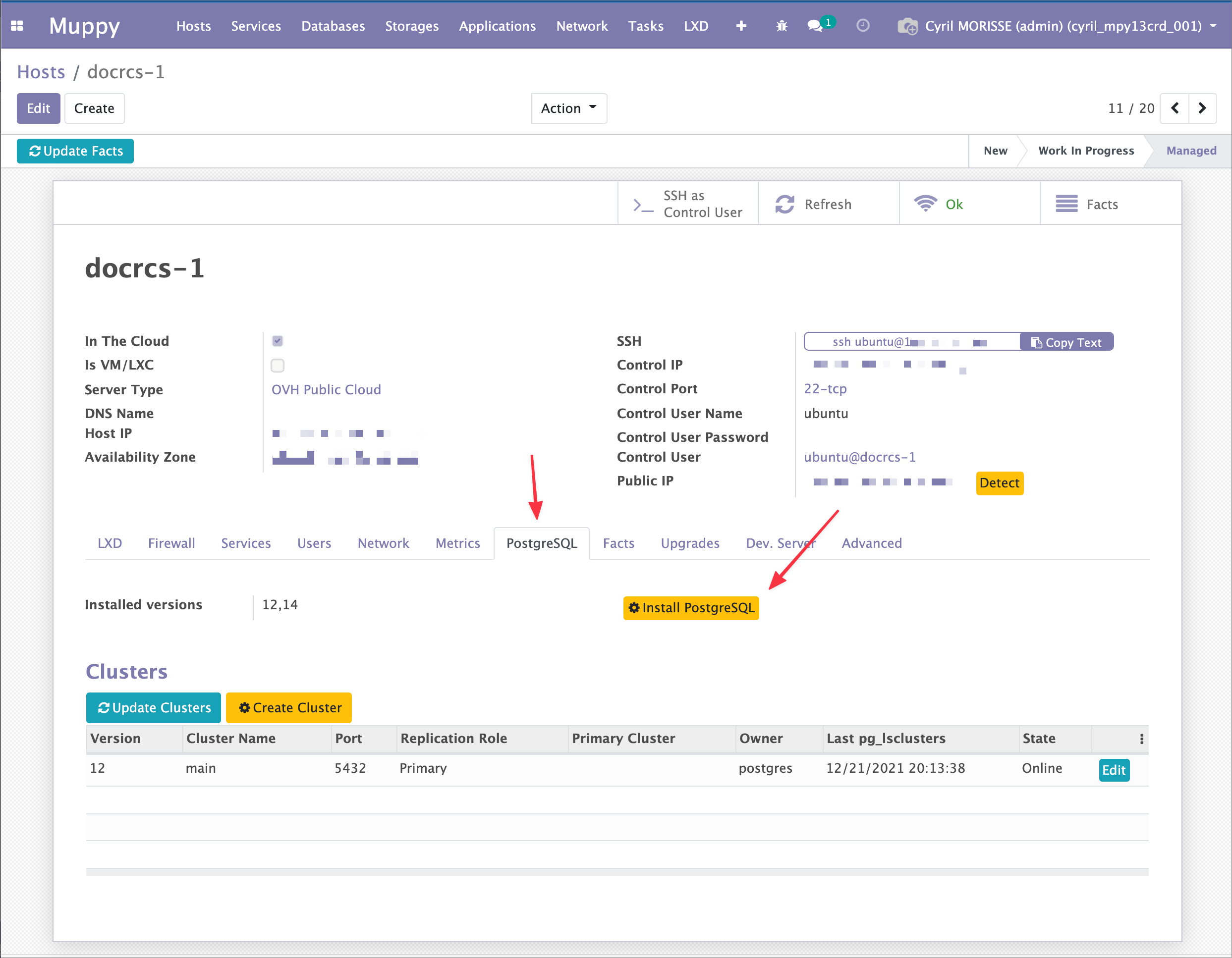 PostgreSQL tab of the Host form