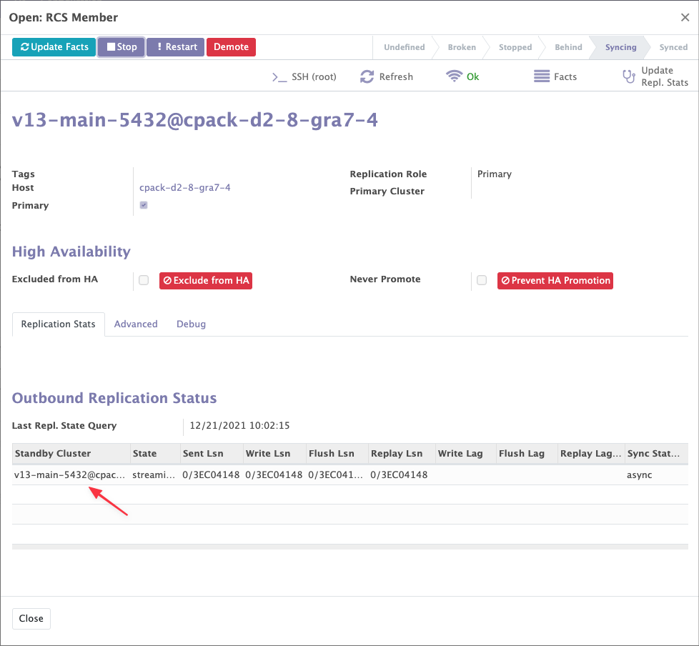 Primary cluster pg_stat_replication
