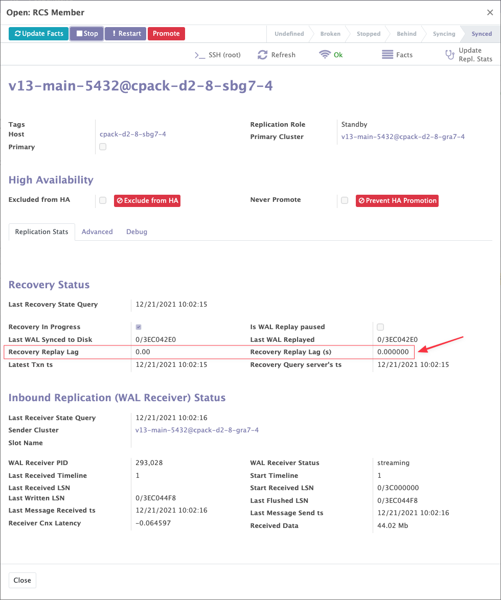 Standby cluster replication statistics